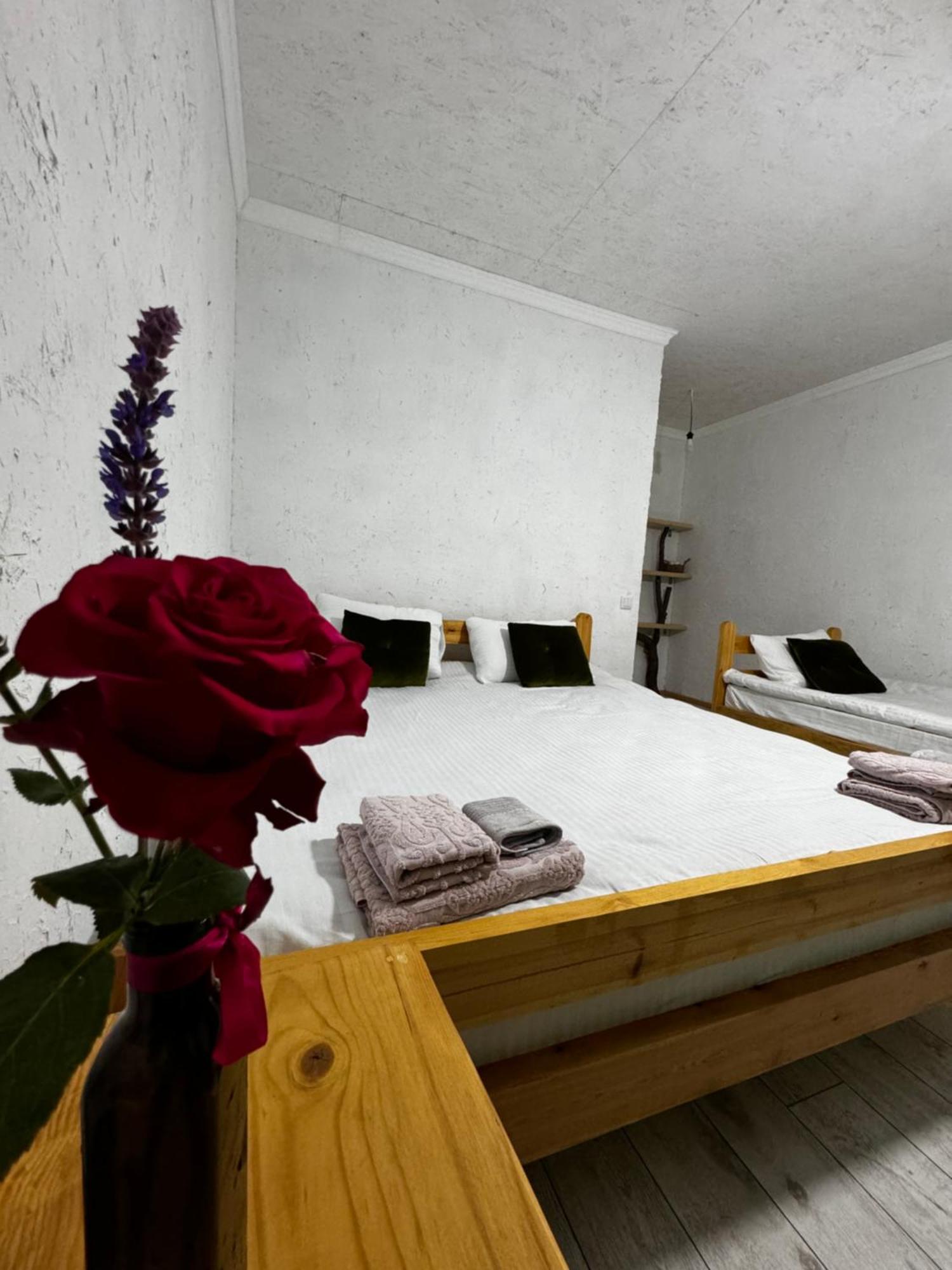 Eco Village Lodge Dzhetyoguz 외부 사진